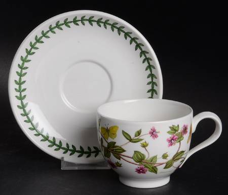 Botanic Garden 25th Anniversary Traditional Cup & Saucer