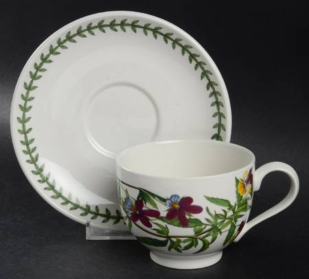 Botanic Garden 25th Anniversary Traditional Cup & Saucer