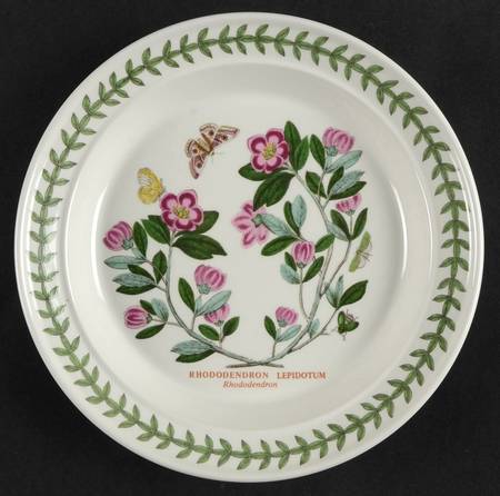 Botanic Garden Bread & Butter Plate (25th Anniversary Backstamp)