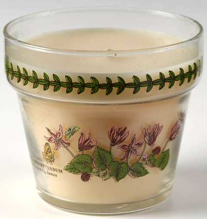 Botanic Garden Glassware Flower Pot & Candle w/Scented Wax