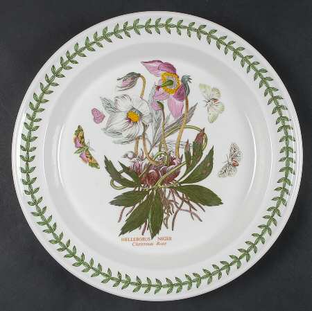 Botanic Garden Dinner Plate by Portmeirion