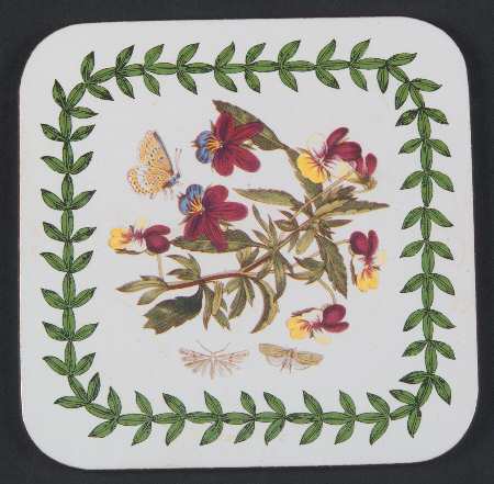 Botanic Garden Square Coaster/Corkback