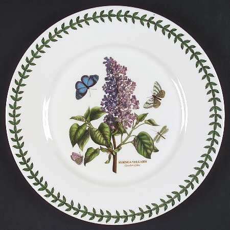 Botanic Garden Flat Dinner Plate with Large Rim