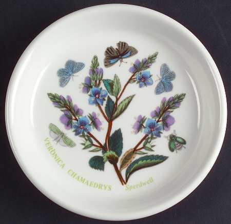Botanic Garden Coaster by Portmeirion