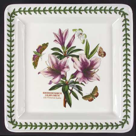 Botanic Garden Square Dinner Plate