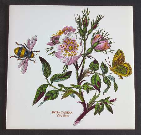 Botanic Garden 6" Wall Tile Aka Tile Insert