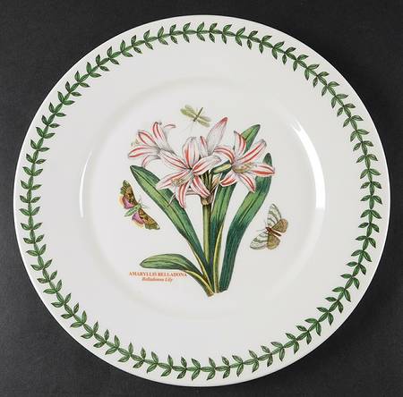 Botanic Garden Flat Dinner Plate with Large Rim