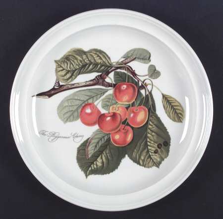 Pomona Dinner Plate by Portmeirion