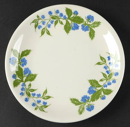 PGN14 Salad Plate