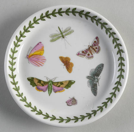 Botanic Garden Butterflies Coaster
