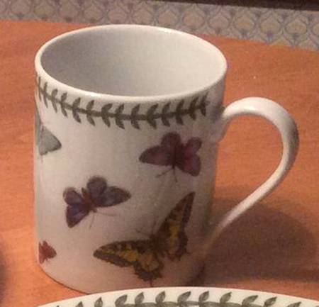 Botanic Garden Butterflies Mug