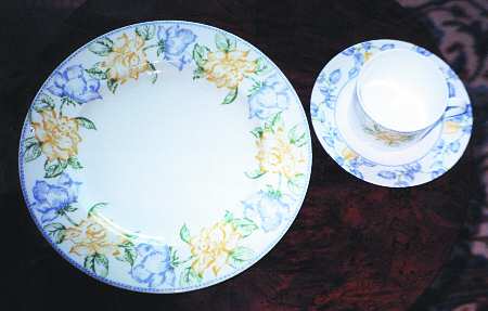 PLI6 by Porcelaine de Limoges