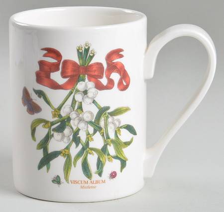 Botanic Garden Mistletoe Mug