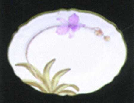 Orchid Garden (Accessories) 14" Oval Serving Platter