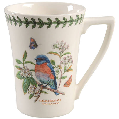 Botanic Garden Birds Mandarin Mug