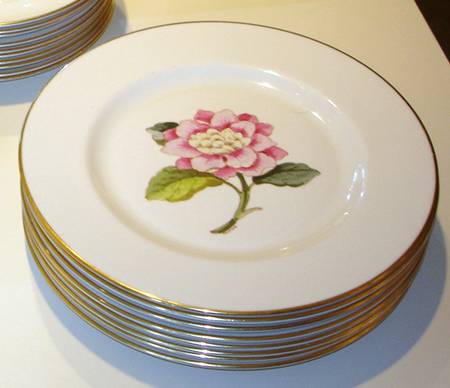 Pink Camelia by Pickard