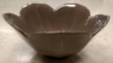 Lotus Brown by Pier 1