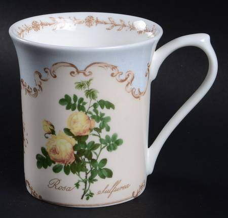 Redoute Roses by Queen's