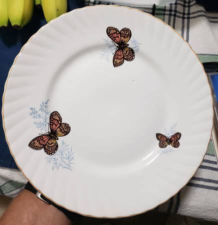 Wall Brown by Queen's