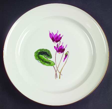 Alpine Flowers by Rosenthal - Continental