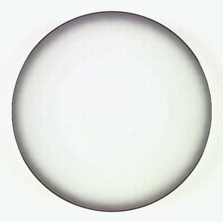 Elegance (Platinum Trim) by Rosenthal - Continental