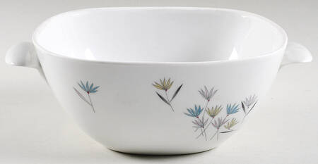 3722 Square Vegetable No Lid