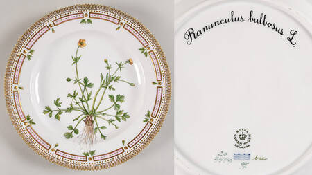 Flora Danica (1961 To Current) Dinner Plate-Ranunculus bulbosus L.