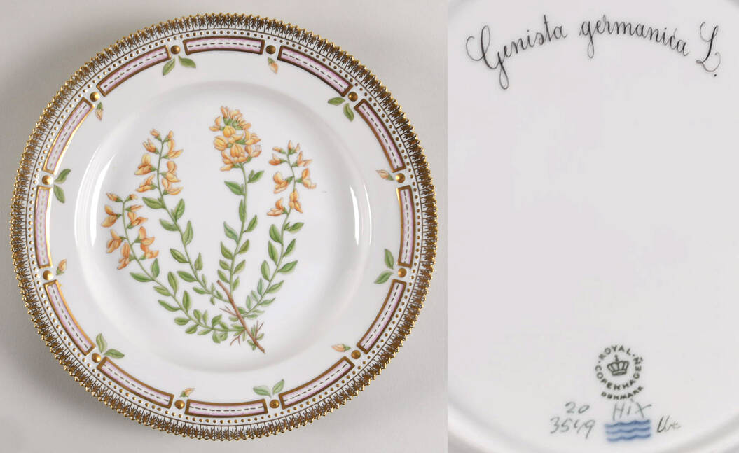 Flora Danica (1961 To Current) Dinner Plate-Genista germanica L