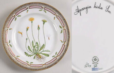 Flora Danica (1961 To Current) Dinner Plate-Apargia hirta Sm
