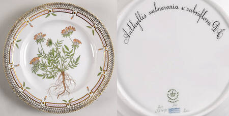 Flora Danica (1961 To Current) Dinner Plate-Anthyllis vulneraria v. rubriflora D.
