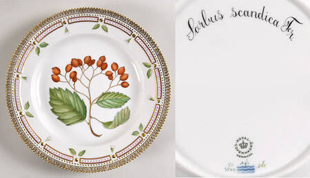 Flora Danica (1961 To Current) Dinner Plate-Scorbus scandica Fr