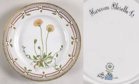 Flora Danica (1961 To Current) Dinner Plate-Hieracium Pilosella L.