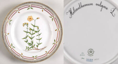 Flora Danica (1961 To Current) Dinner Plate-Helianthemum vulgare L.