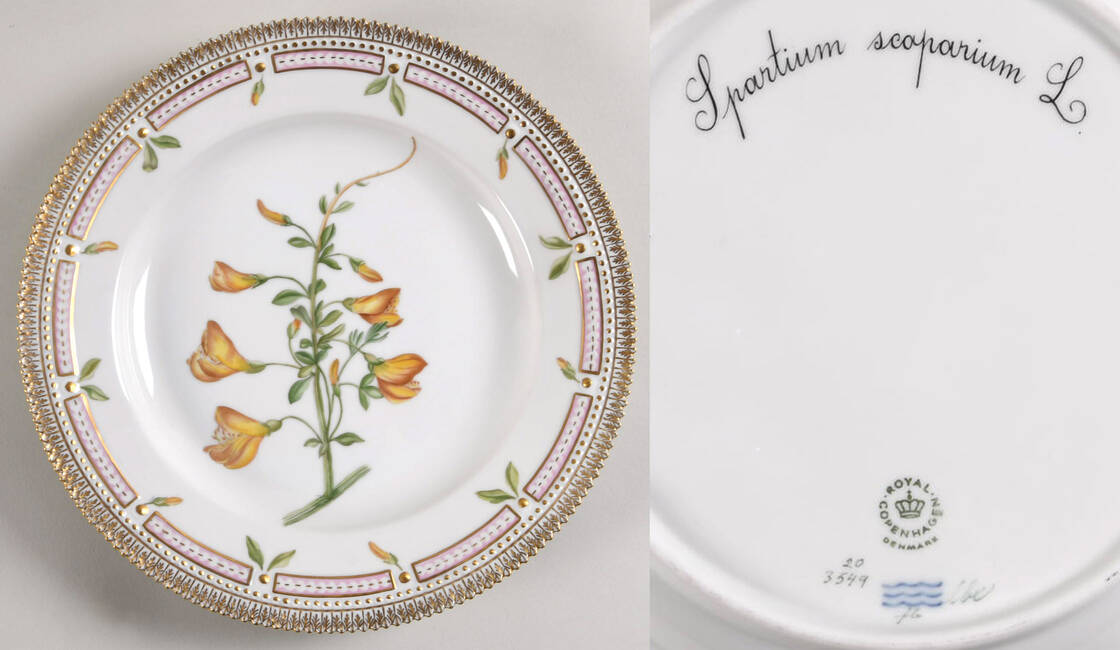 Flora Danica (1961 To Current) Dinner Plate-Spartium scoparium L