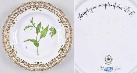 Flora Danica (1961 To Current) 10" Pierced Dinner Plate/Fruit Std-Sareptopus ampl