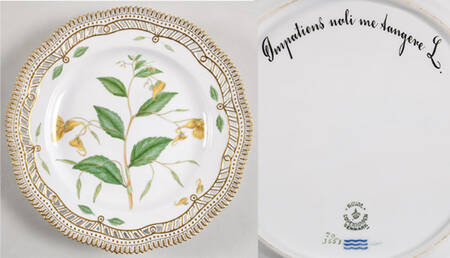 Flora Danica (1961 To Current) 10" Pierced Dinner Plate/Fruit Std-Impatiens noli me Tangere L.