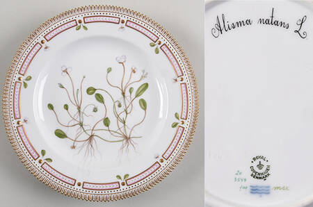 Flora Danica (1961 To Current) Dinner Plate-Alisma natans L