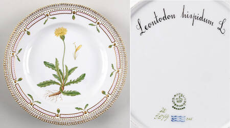 Flora Danica (1961 To Current) Dinner Plate-Leontodon hispidum L