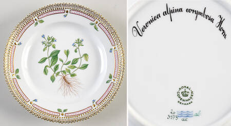 Flora Danica (1961 To Current) Salad Plate-Veronica alpina corymbosa Horn