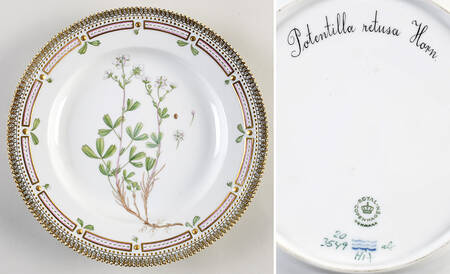 Flora Danica (1961 To Current) Dinner Plate-Potentilla Tridentata Sol