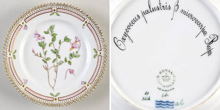 Flora Danica (1961 To Current) Bread & Butter Plate-Oxycoccus palustris B microcarpa Rupr.