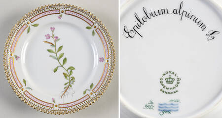 Flora Danica (1961 To Current) Bread & Butter Plate-Epilobium alpinum L.
