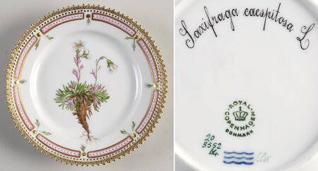 Flora Danica (1961 To Current) Bread & Butter Plate-Saxifraga caespiosa L.