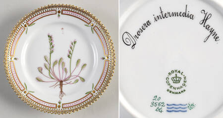 Flora Danica (1961 To Current) Bread & Butter Plate-Drosera intermedia Hayne.