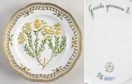 Flora Danica (1961 To Current) 10" Pierced Dinner Plate/Fruit Std - Genista germanica L.