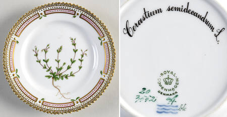 Flora Danica (1961 To Current) Bread & Butter Plate-Cerastium semidecandrum L.