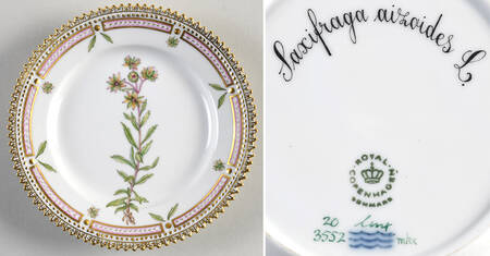 Flora Danica (1961 To Current) Bread & Butter Plate-Saxifraga aizoides L.