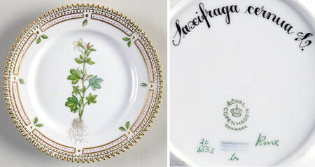 Flora Danica (1961 To Current) Bread & Butter Plate-Saxifraga cernua L.