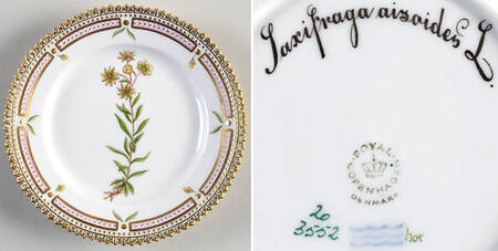 Flora Danica (1961 To Current) Bread & Butter Plate-Saxifraga aisaides L.
