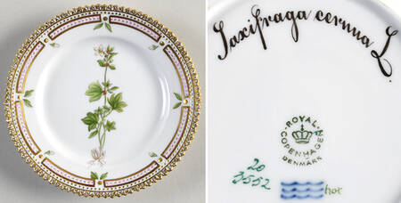 Flora Danica (1961 To Current) Bread & Butter Plate-Saxifraga cernna L.